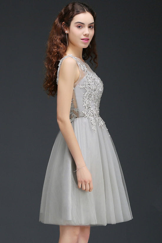 Amazing Silver Tulle Scoop Short Homecoming Dress With Appliques