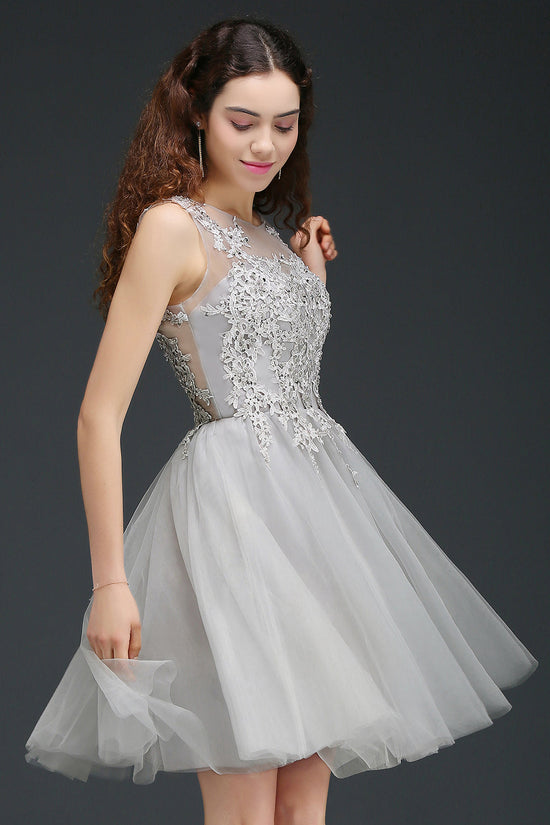 Amazing Silver Tulle Scoop Short Homecoming Dress With Appliques